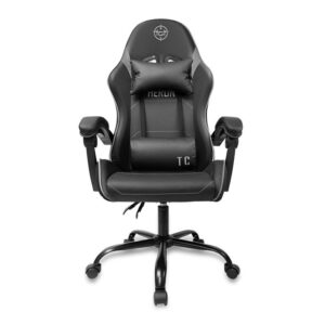 Cadeira Gamer TGT Heron TC